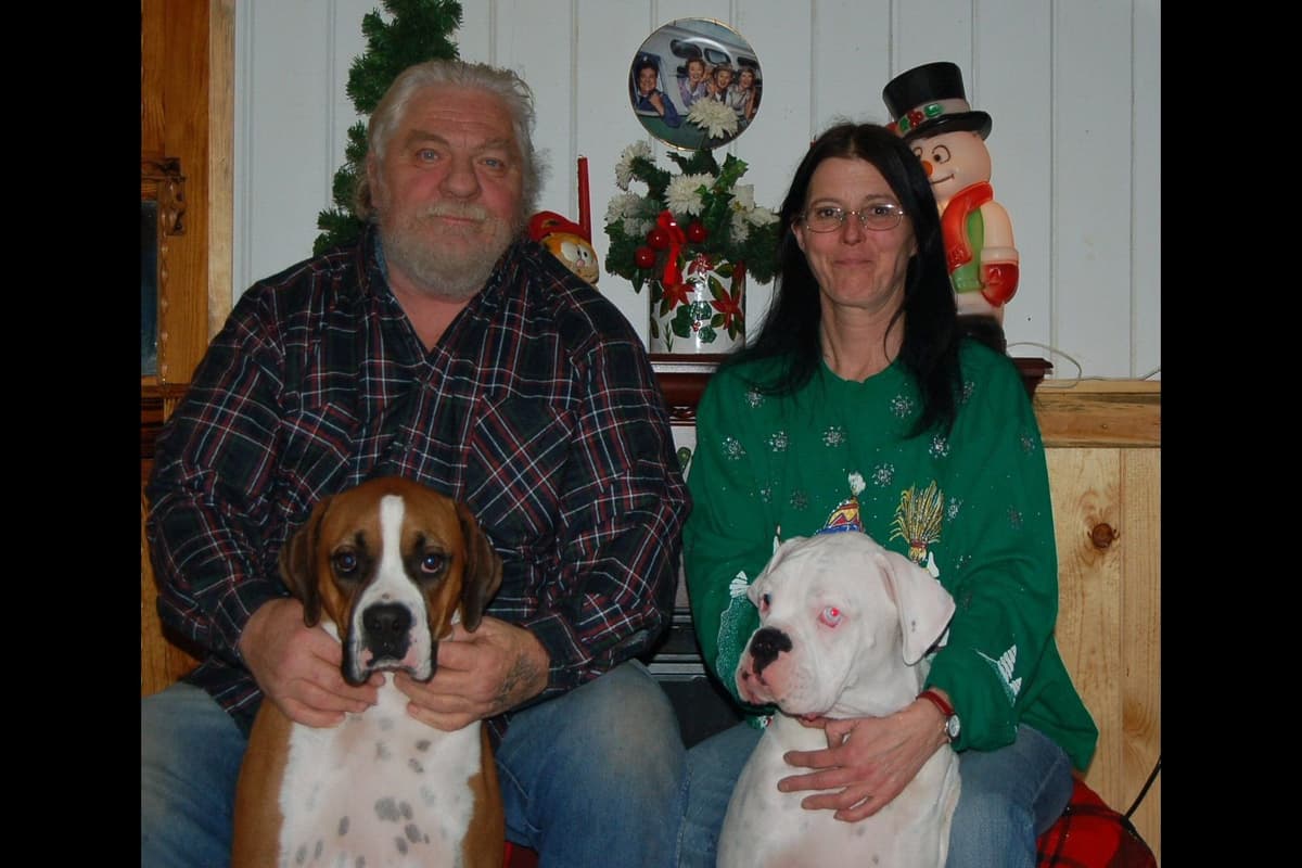 Boxer Puppies breeder image 5