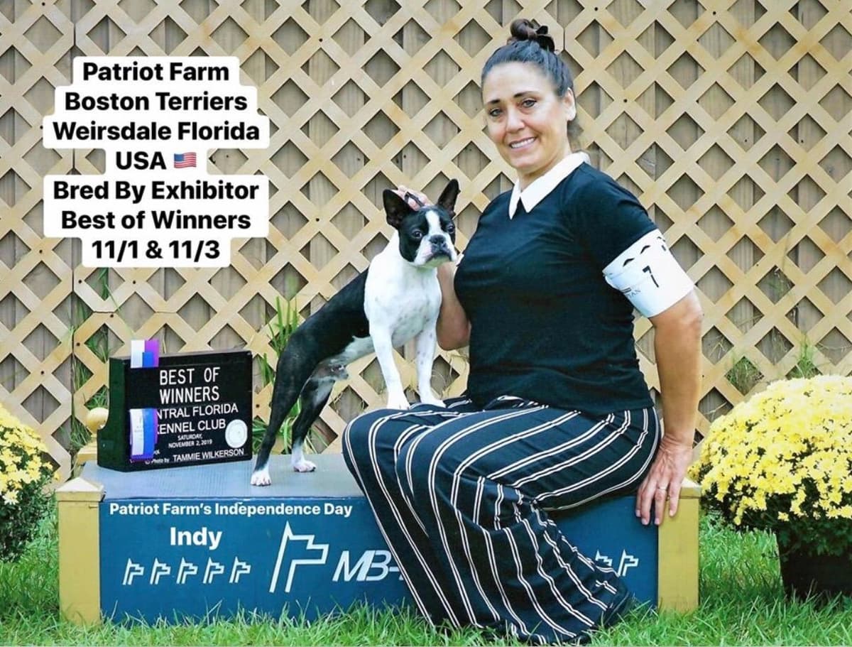 PATRIOT FARM BOSTON TERRIERS breeder image 9