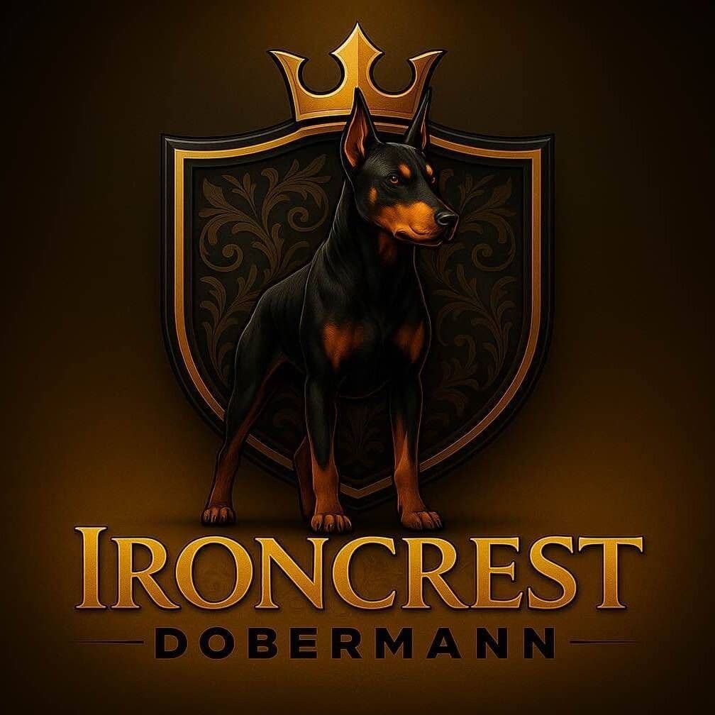 100% European Doberman Puppies!! breeder image 1