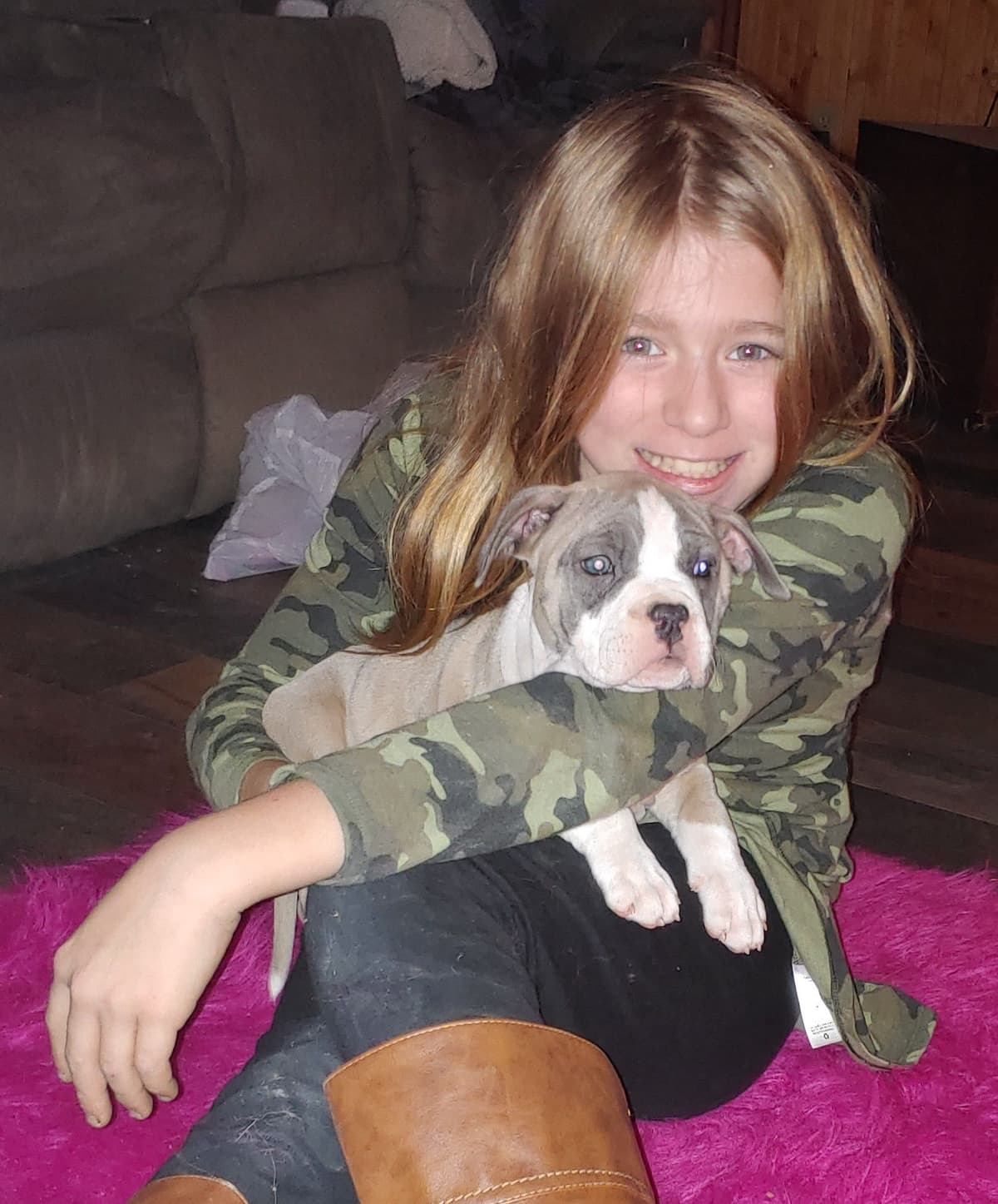 American Staffordshire Terrier Puppies breeder image 26