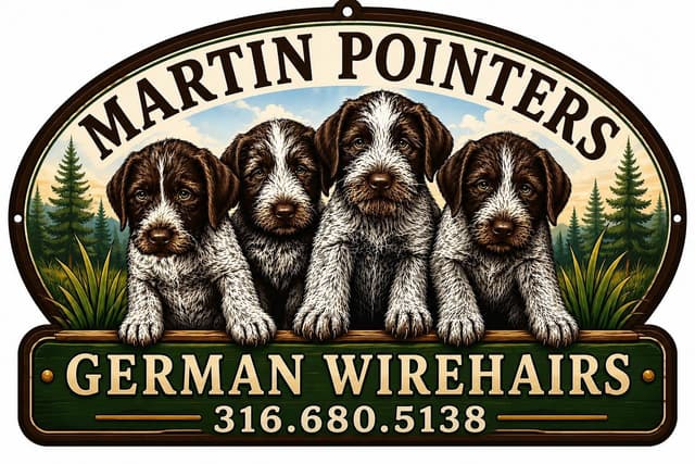 German Wirehaired Pointer Puppies media 5