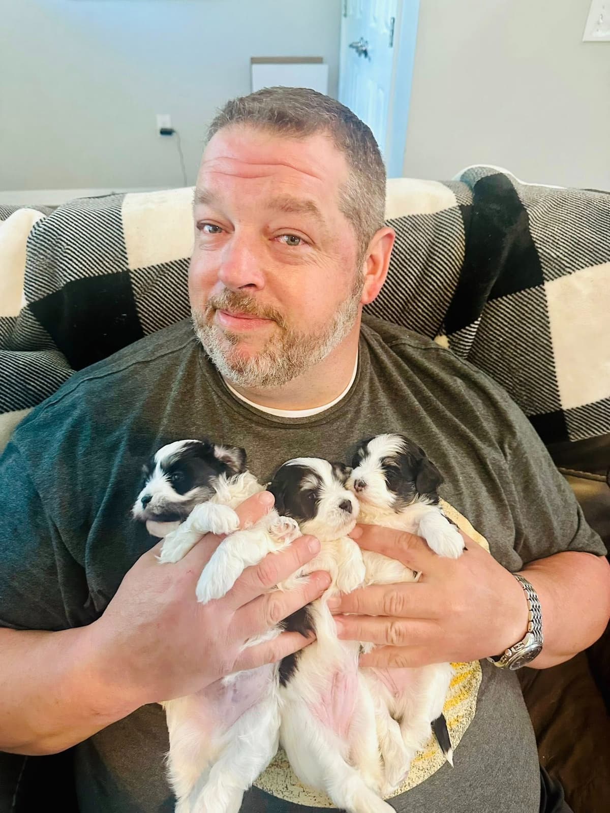 Havanes Puppies, OFA Health Tested, ready to go home July 10th breeder image 13