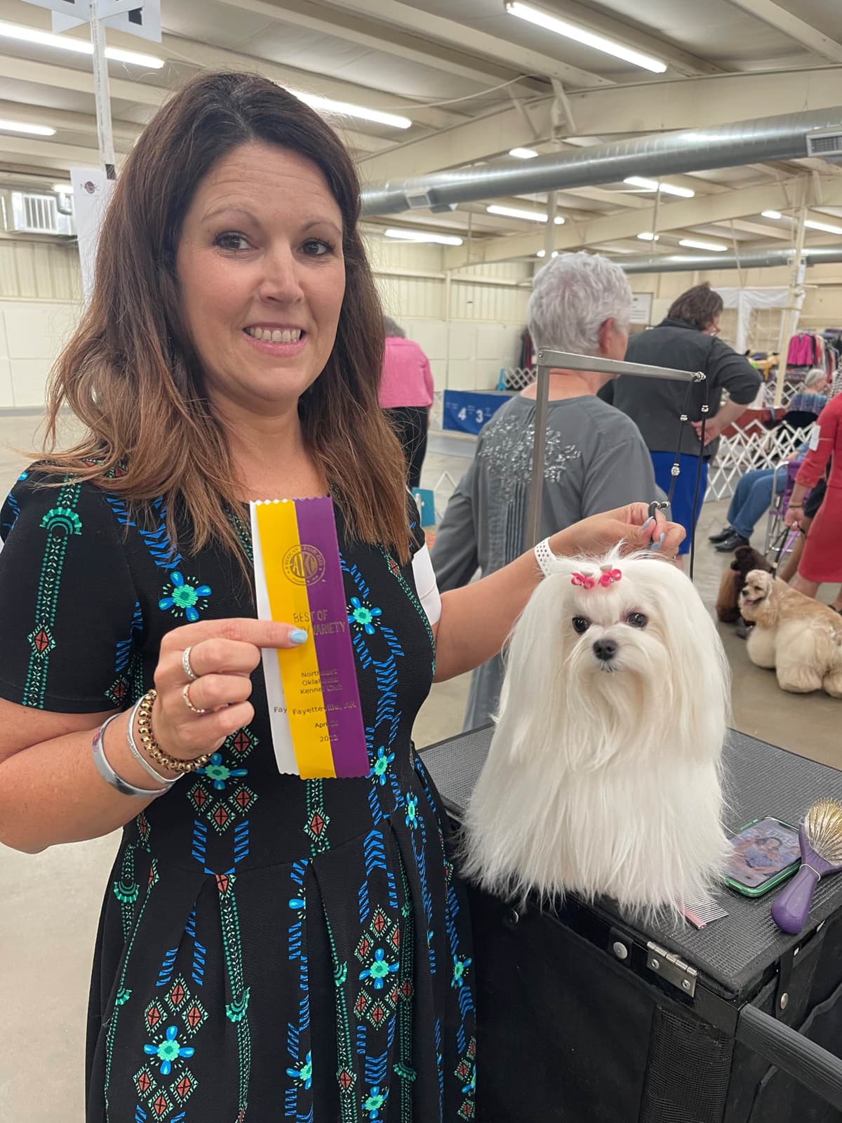 Grand Champion Sired Maltese Puppies breeder image 15
