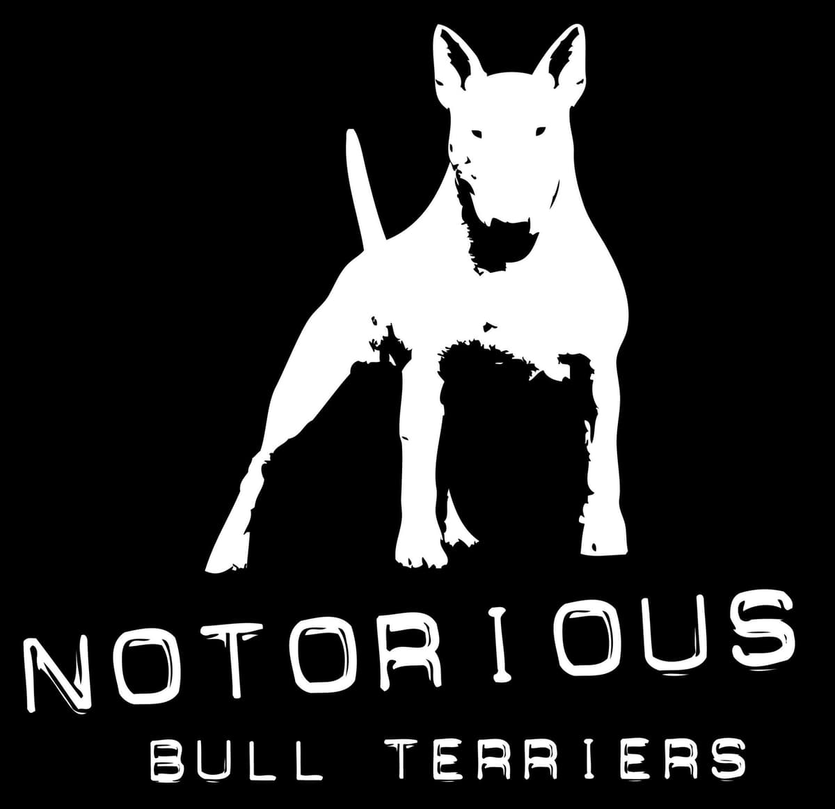 Bull Terrier Puppies breeder image 7