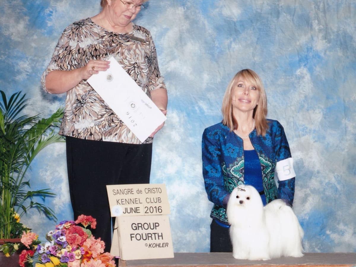 Grand Champion Sired Puppies breeder image 14