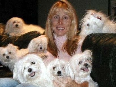 Grand Champion Sired Puppies breeder image 16