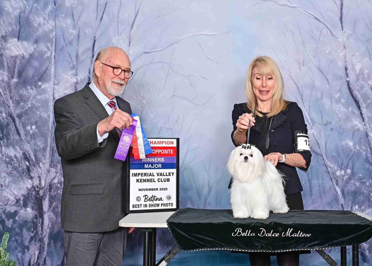 Grand Champion Sired Puppies breeder image 15