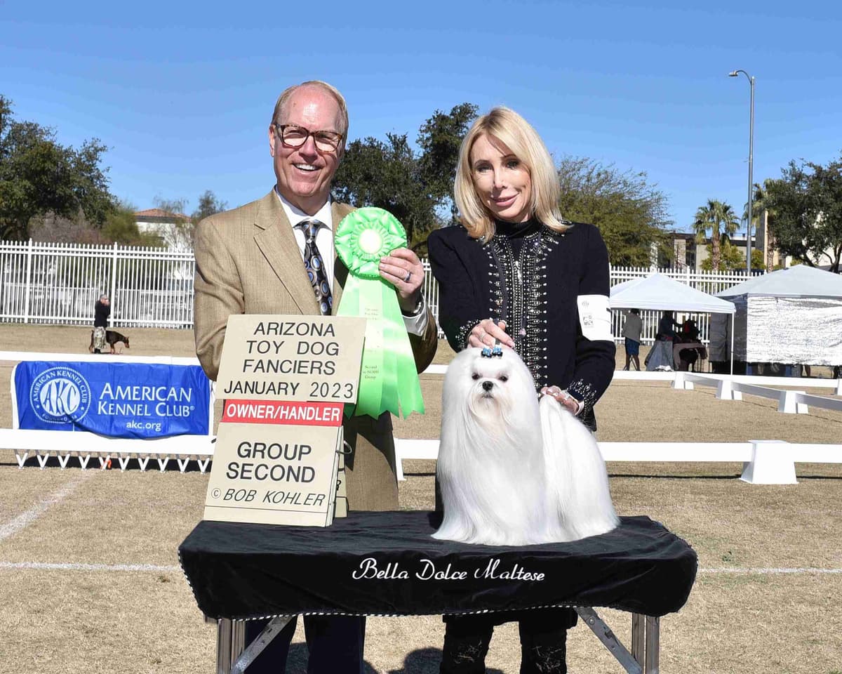 Grand Champion Sired Puppies breeder image 1