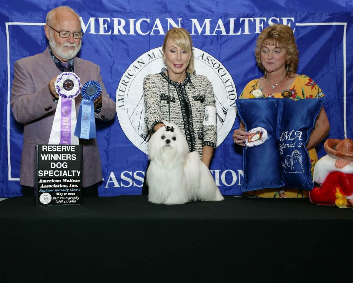 Grand Champion Sired Puppies breeder image 4