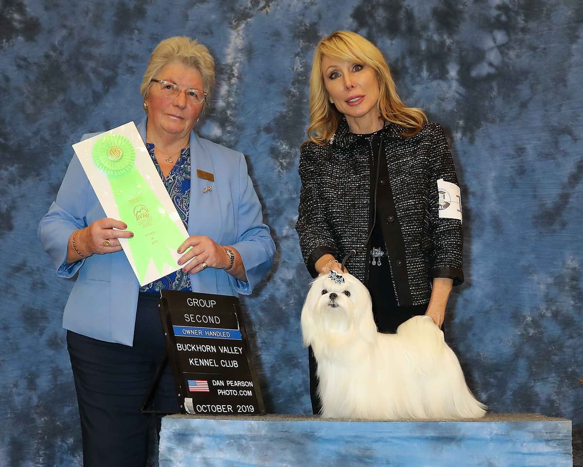 Grand Champion Sired Puppies breeder image 28