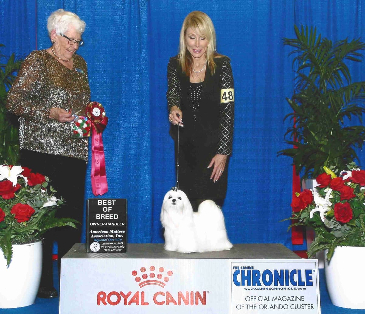 Grand Champion Sired Puppies breeder image 3