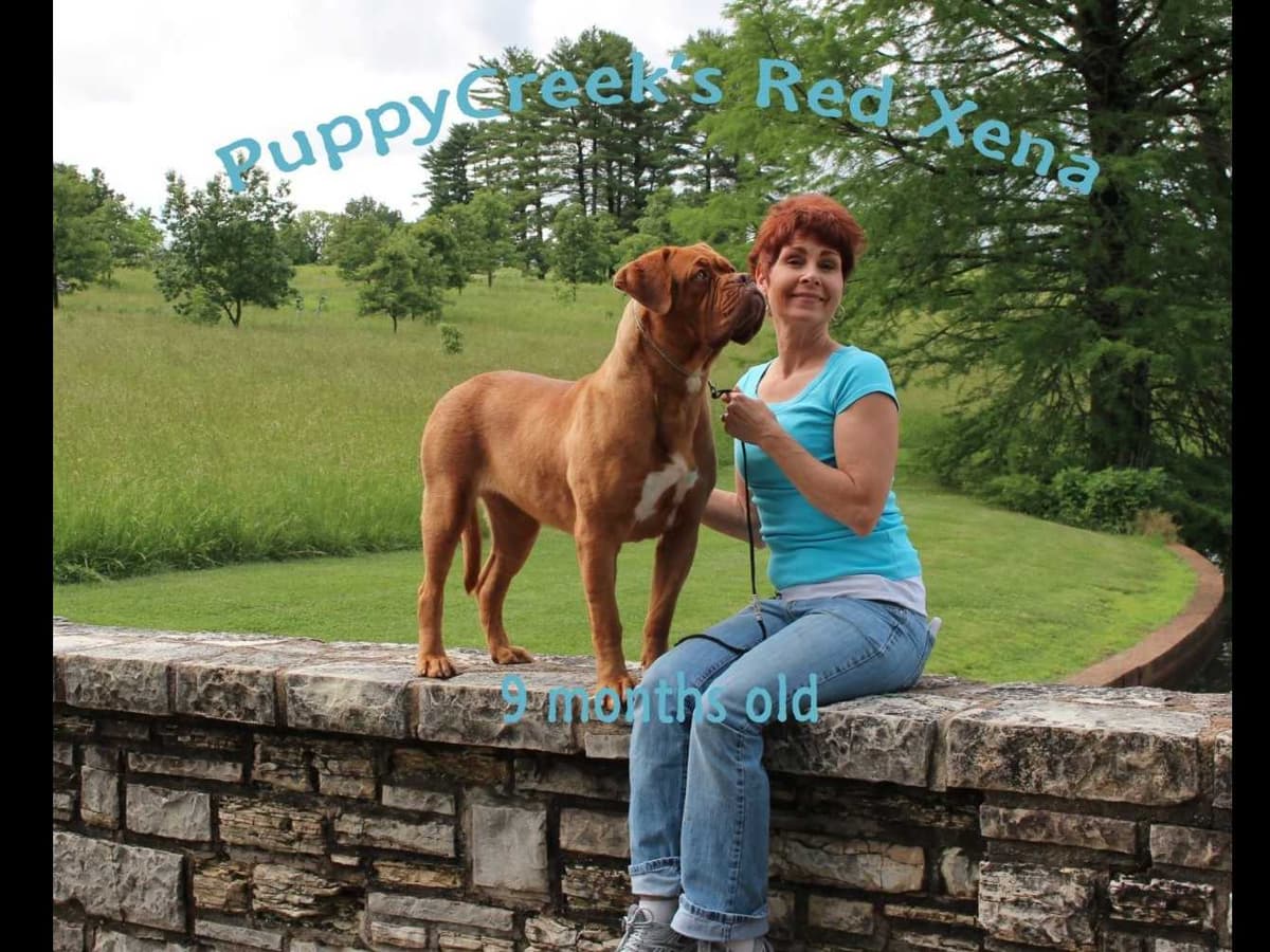 PuppyCreek Kennels breeder image 6
