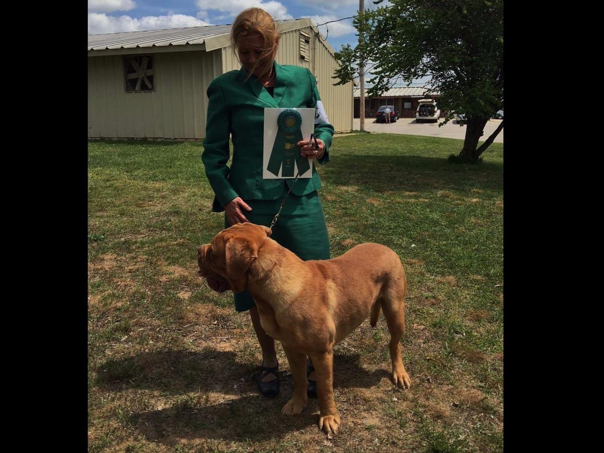 PuppyCreek Kennels breeder image 12