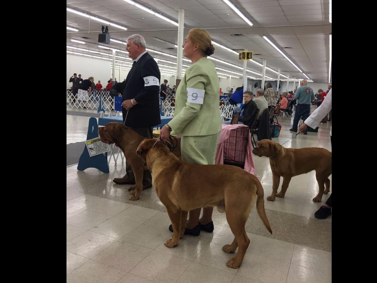 PuppyCreek Kennels breeder image 13