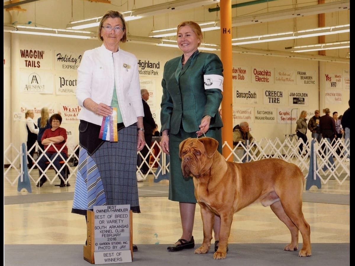 PuppyCreek Kennels breeder image 14