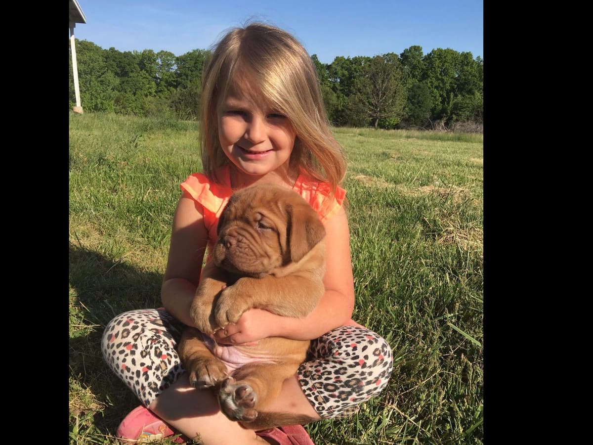 PuppyCreek Kennels breeder image 18