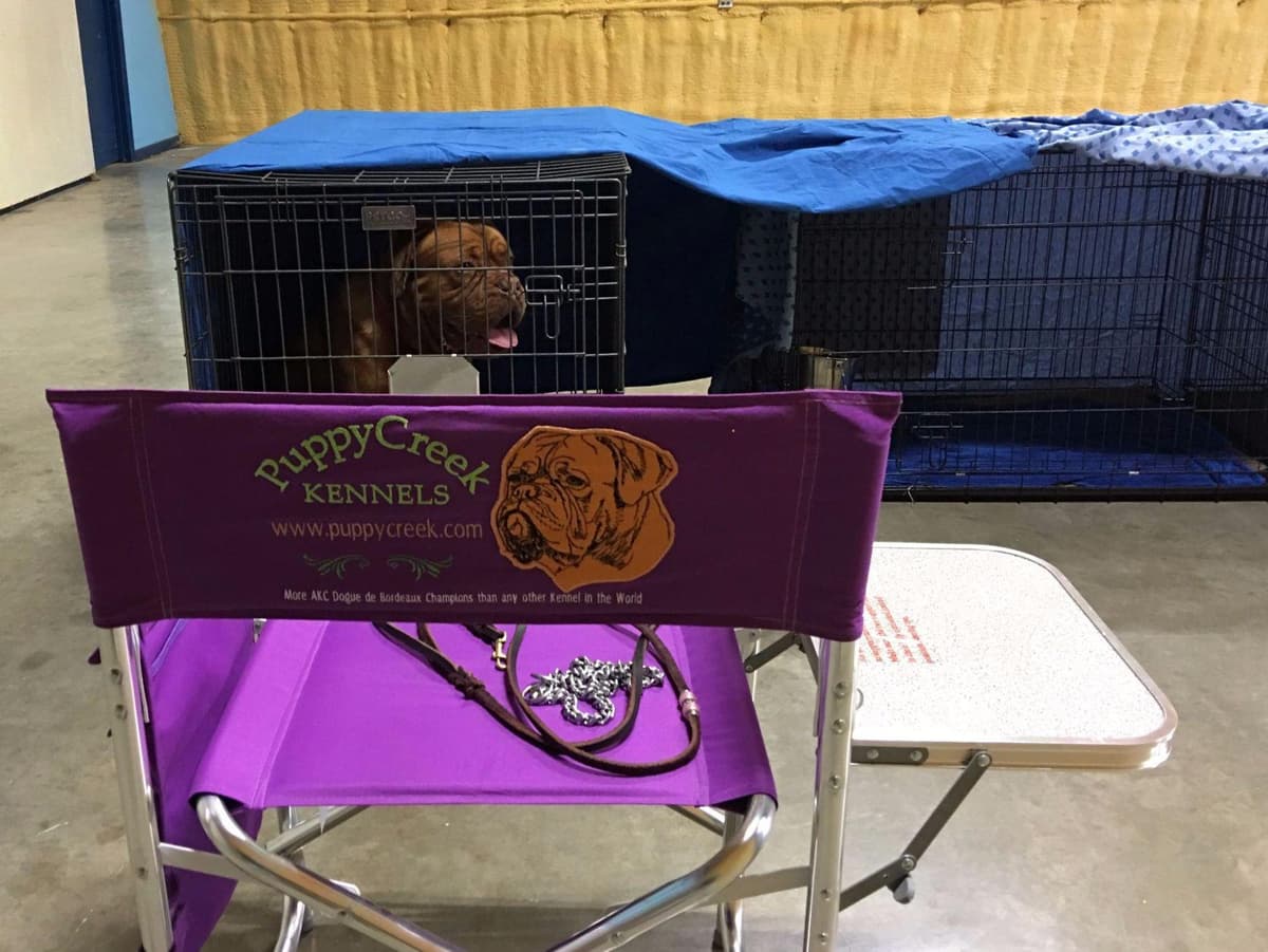 PuppyCreek Kennels breeder image 21