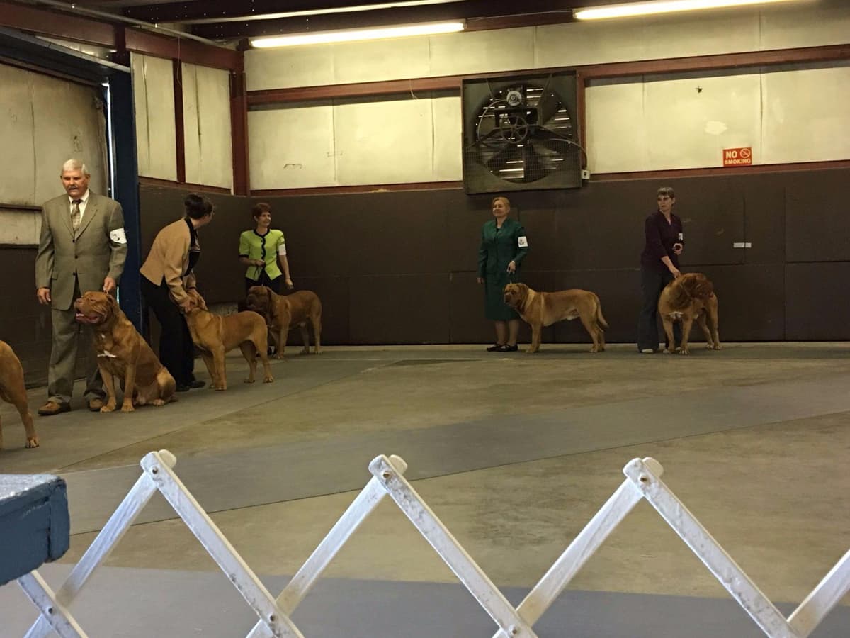 PuppyCreek Kennels breeder image 22