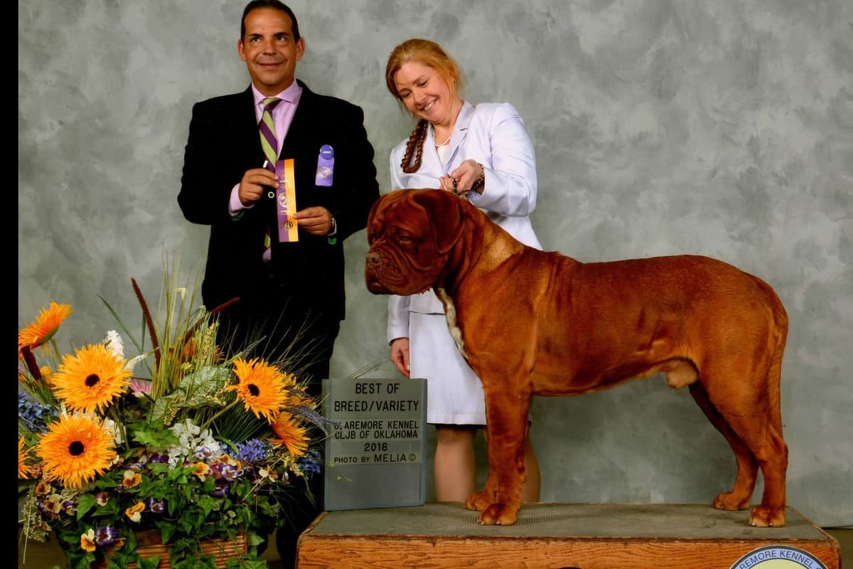 PuppyCreek Kennels breeder image 1