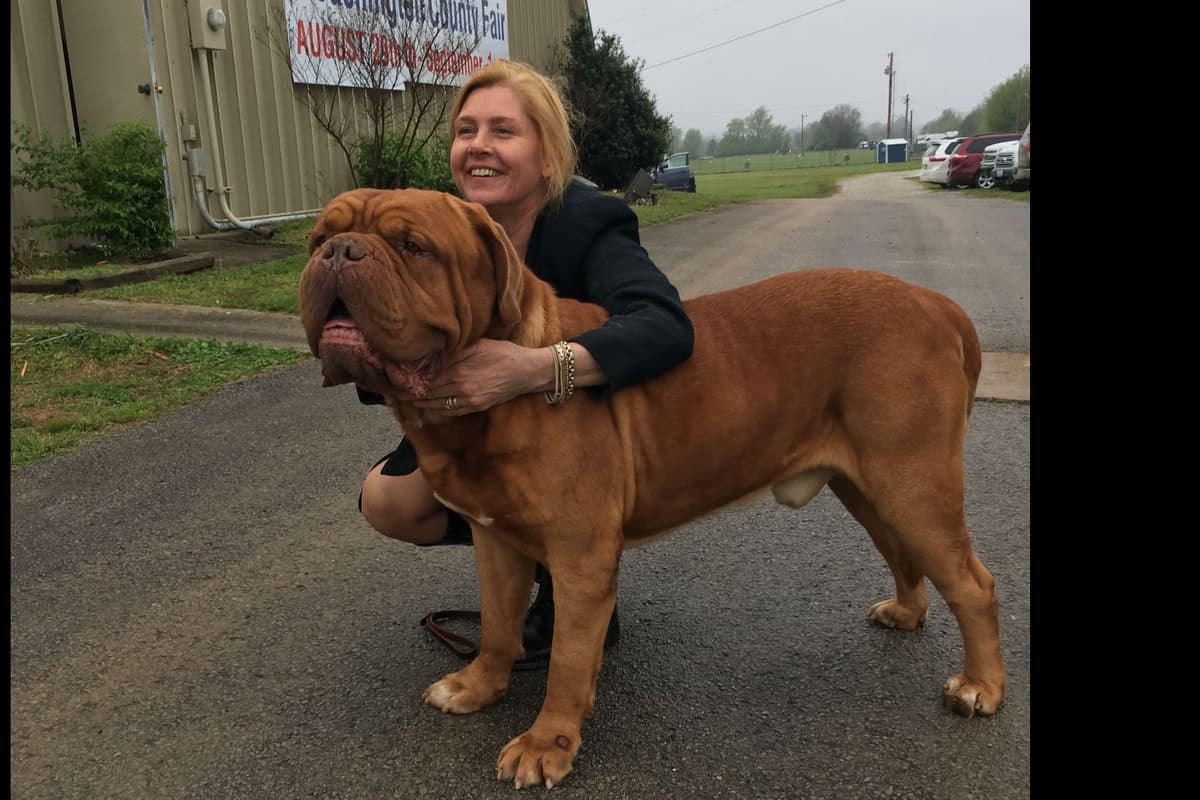 PuppyCreek Kennels breeder image 3