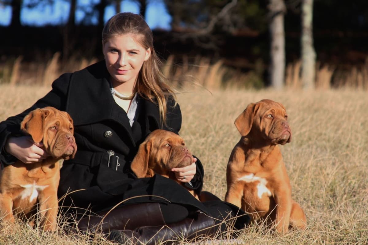 PuppyCreek Kennels breeder image 34