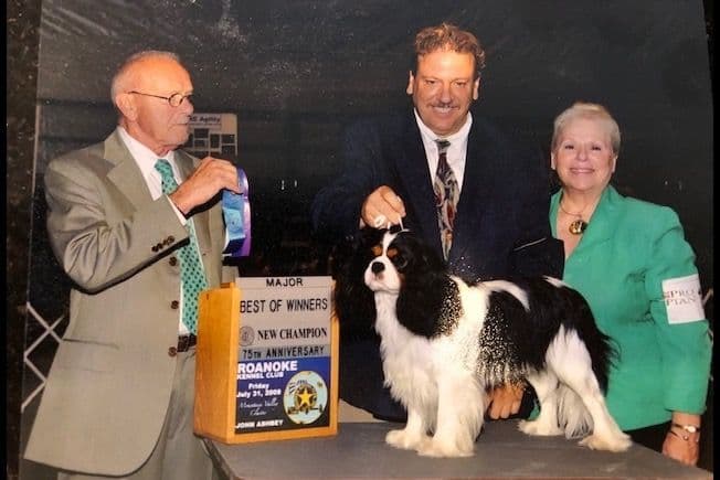 Cavalier King Charles Spaniel Puppies breeder image 6