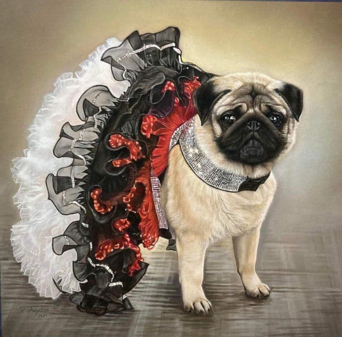 Tibetan Spaniel Puppies breeder image 2