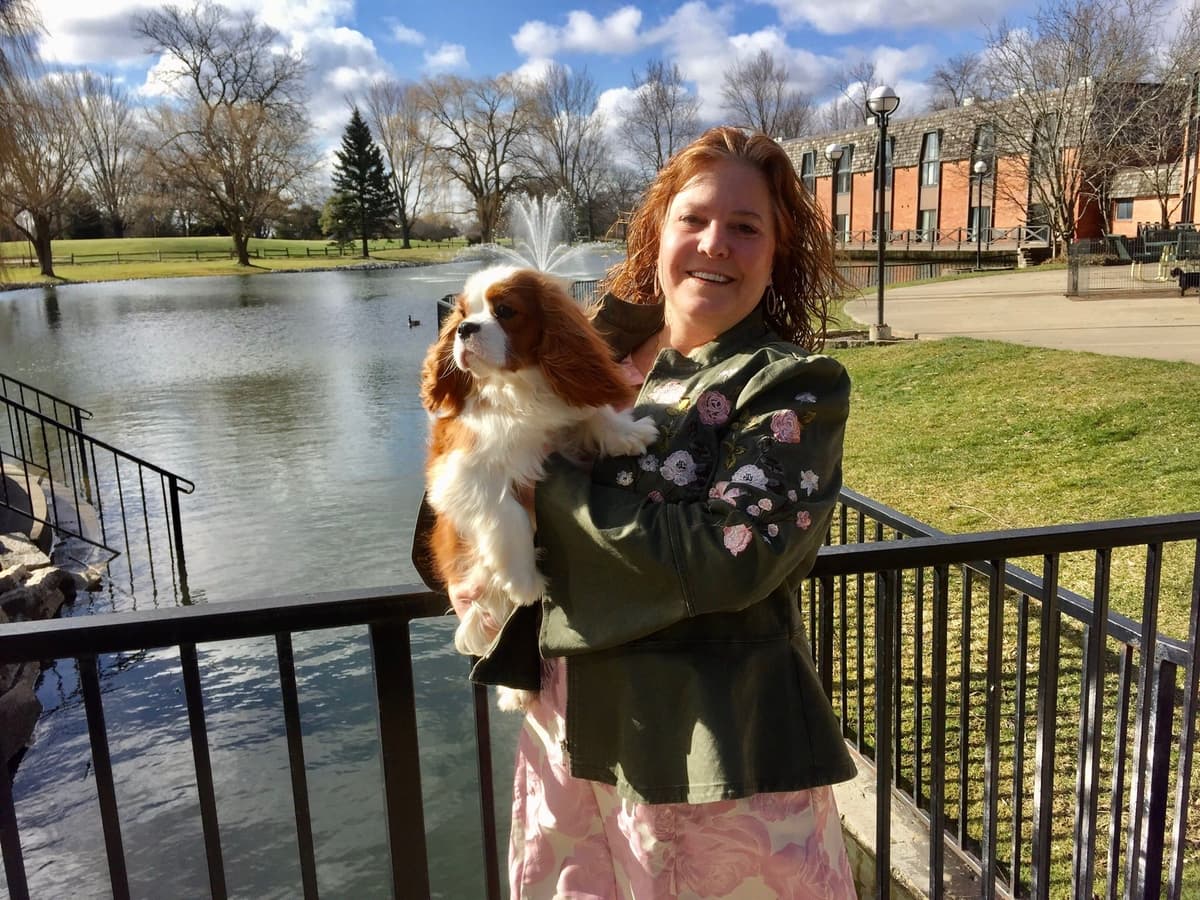 Cavalier King Charles Spaniel Puppies breeder image 43