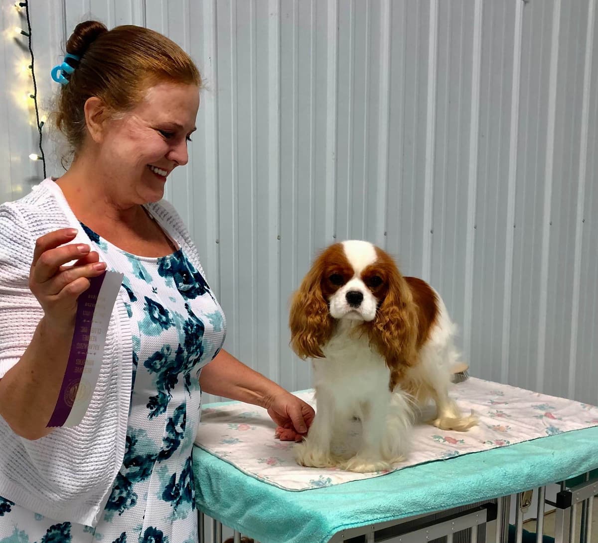 Cavalier King Charles Spaniel Puppies breeder image 46