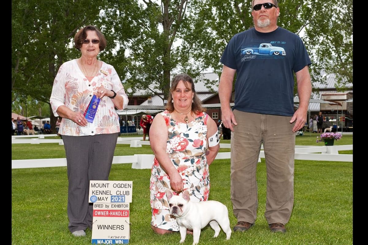 No Puppies available at this time. breeder image 13