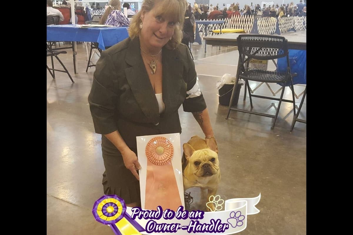 No Puppies available at this time. breeder image 18
