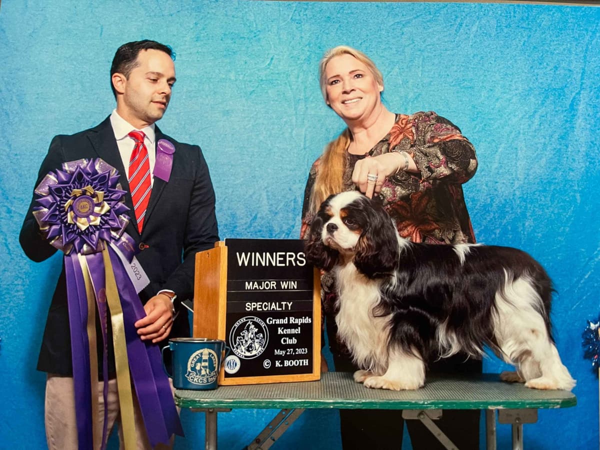 English Toy Spaniel Blenhiem and Prince Charles Puppies breeder image 10