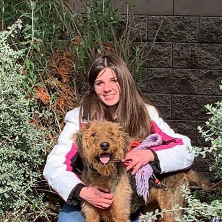 Airedale Terrier Puppies breeder image 6