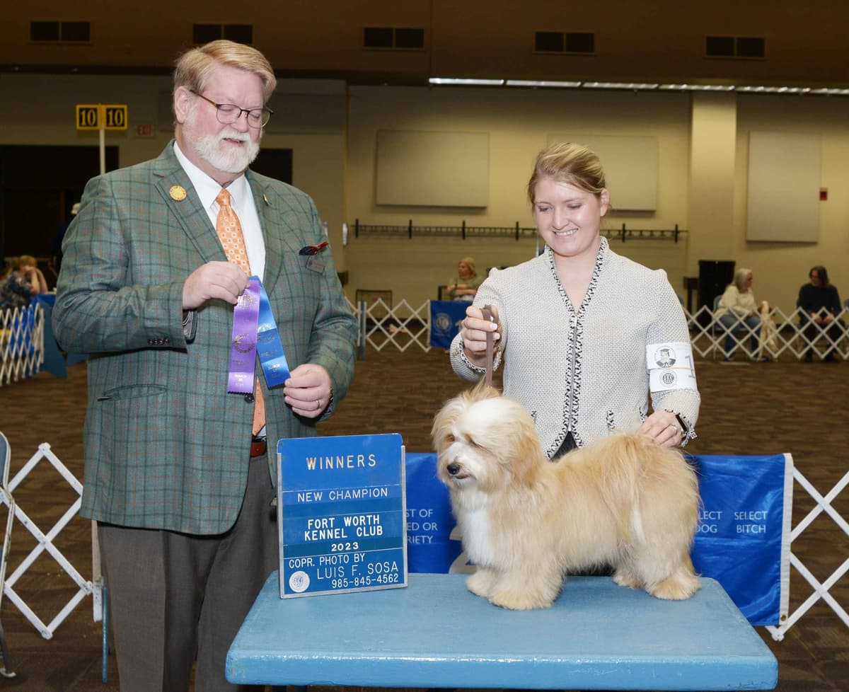 Havanese Puppies breeder image 21