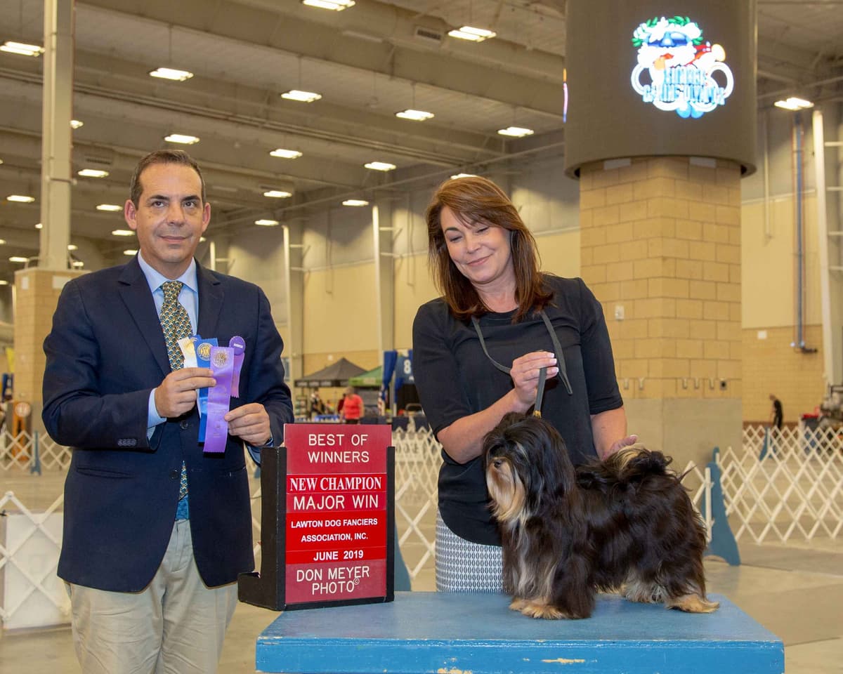 Havanese Puppies breeder image 27