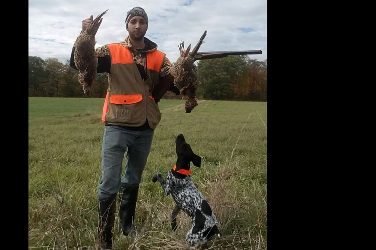 German Shorthaired Pointer Puppies breeder image 8