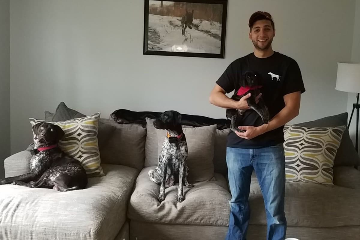 German Shorthaired Pointer Puppies breeder image 2