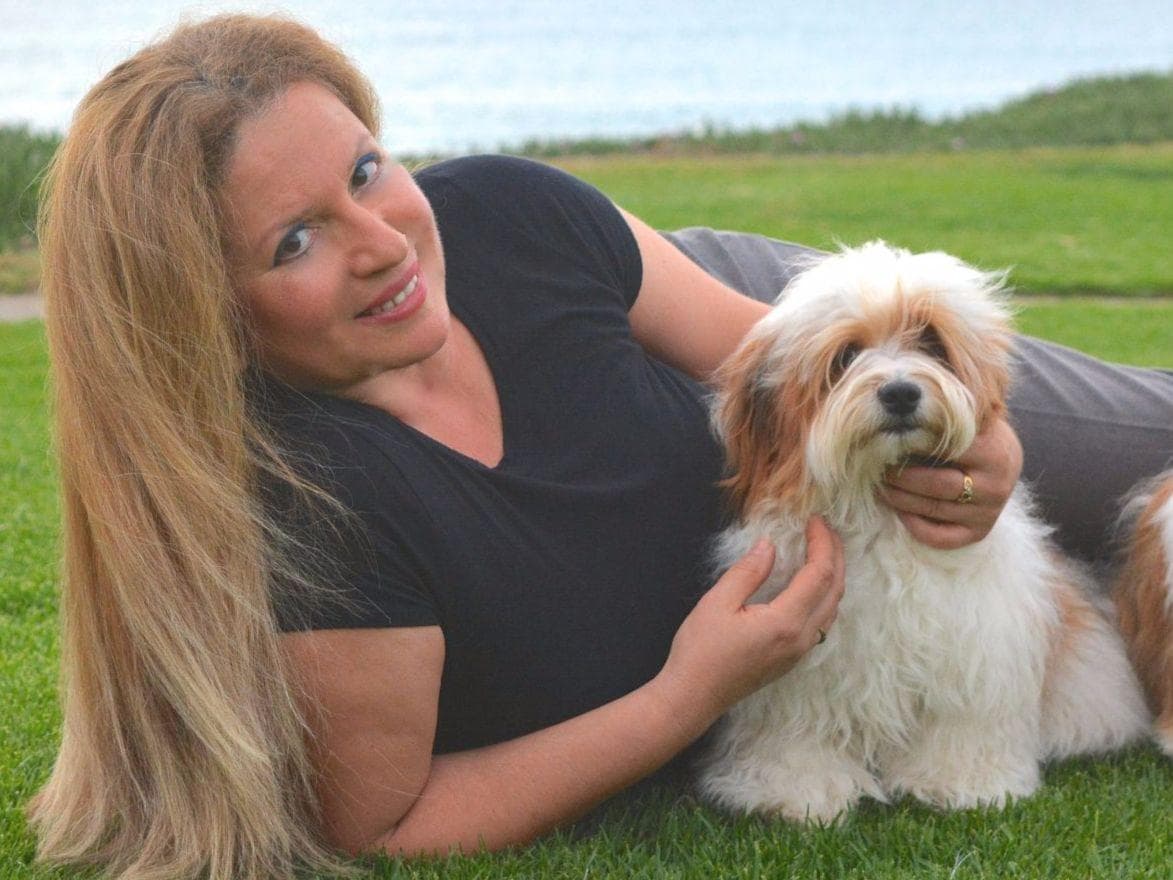 6 year old male available breeder image 4
