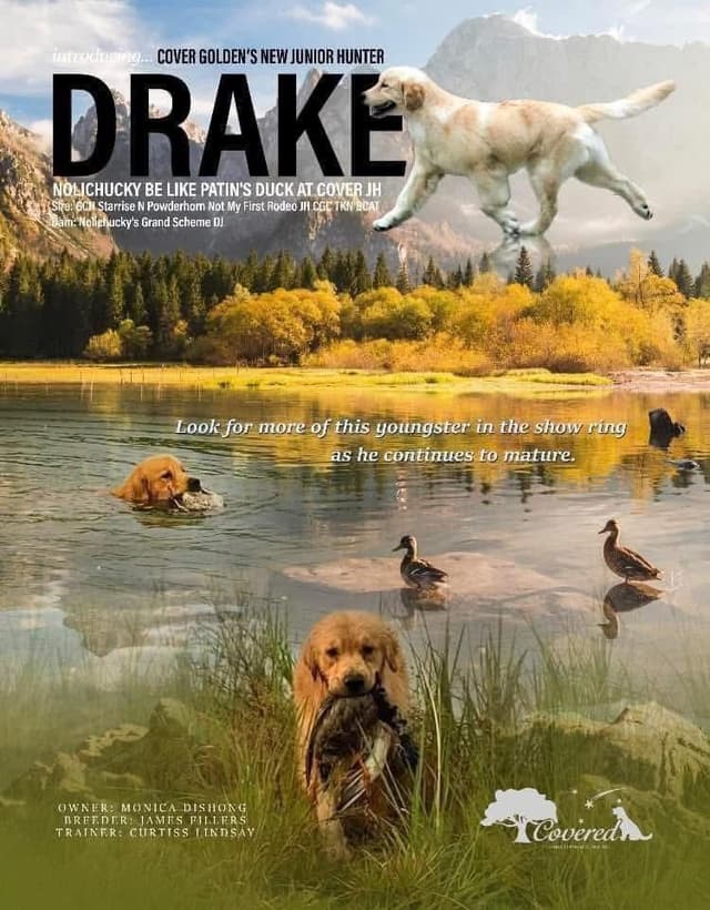 Cover Goldens has puppies! media 3