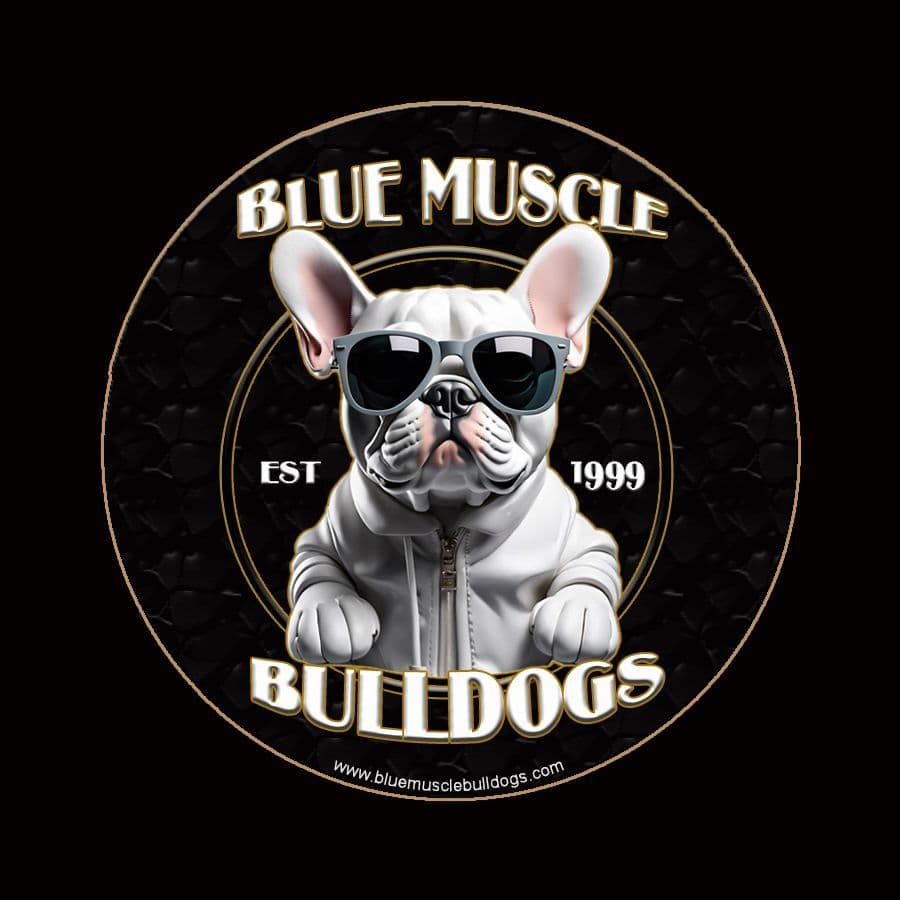 Beautiful  French Bulldog Puppies breeder image 1