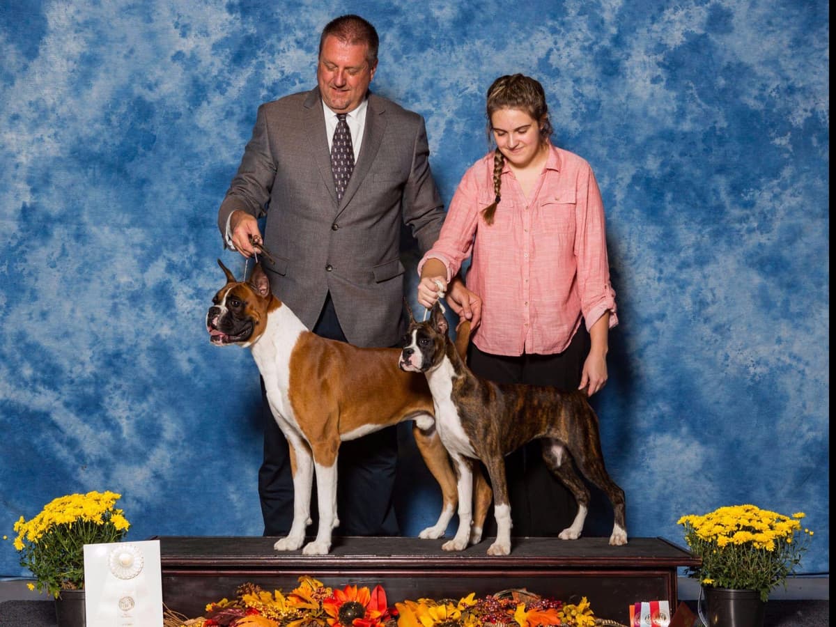 AKC Champion Litter breeder image 10