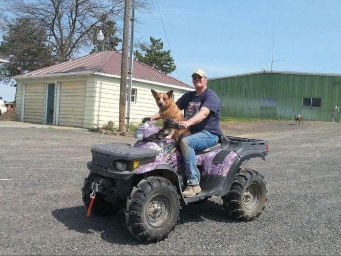 Australian Cattle Dog Puppies breeder image 4