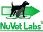 Australian Cattle Dog Puppies breeder image 22