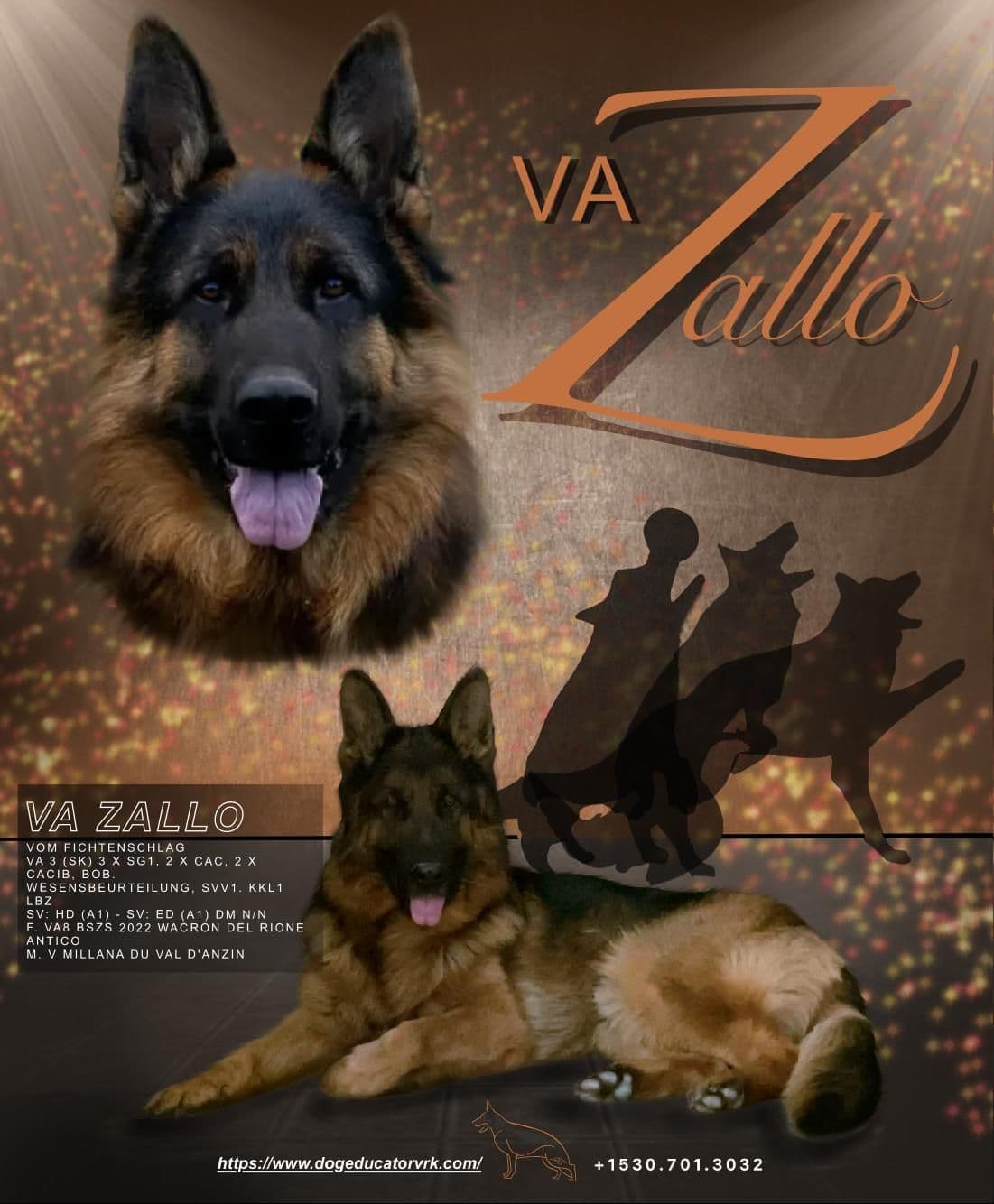 German Shepherd Dog Puppies breeder image 3