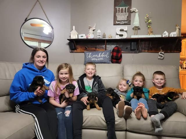 Swan Creek Welsh Terriers. Call to reserve yours now. media 5