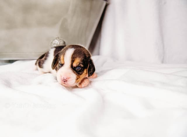 River X Keeper Final Litter! media 2