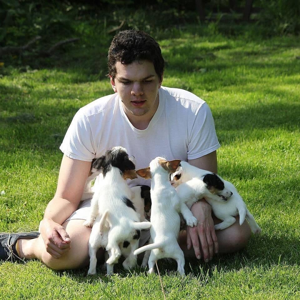 Parson Russell Terrier Puppies breeder image 3