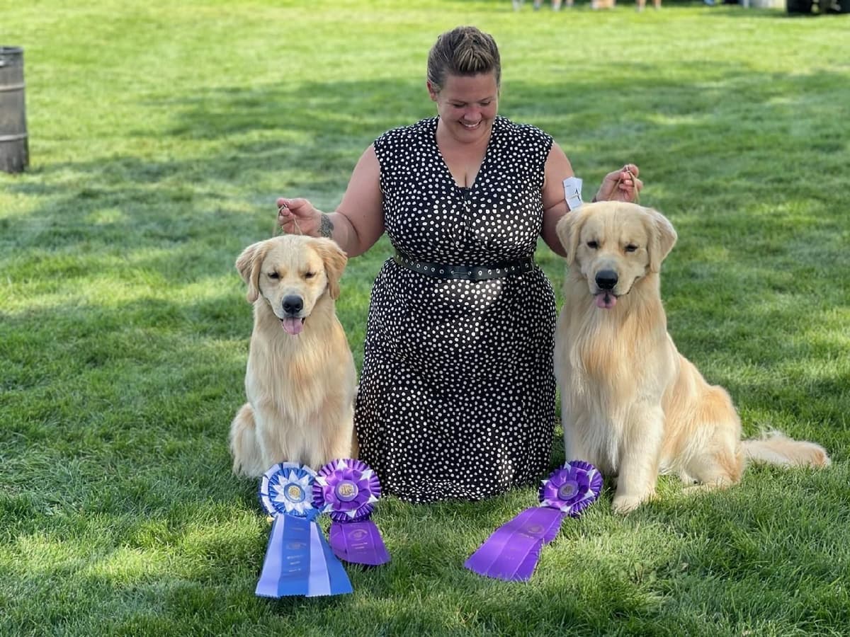 Golden Retriever Puppies breeder image 10
