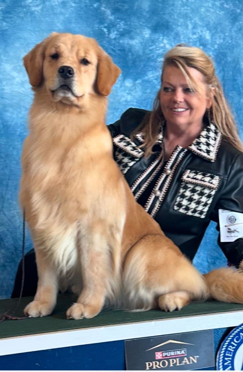 Golden Retriever Puppies breeder image 13