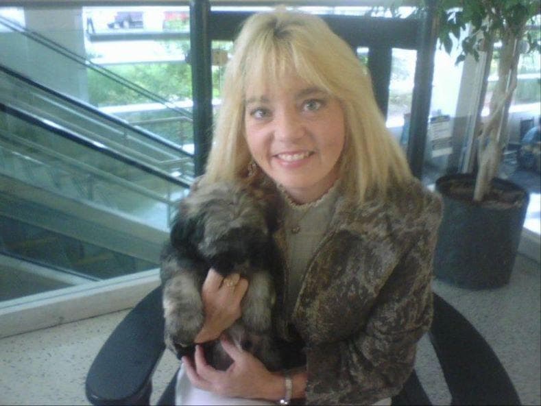Havanese Puppies-Best to Call or Text. 941-468-7926 breeder image 1